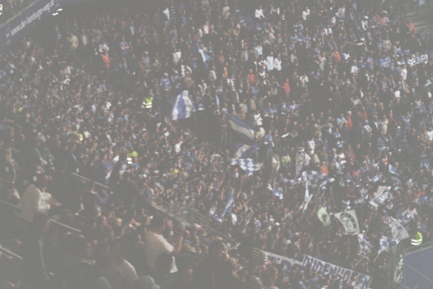 08sfkBLHSV-S04 (13).jpg